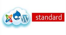 Standard Dynamic website development